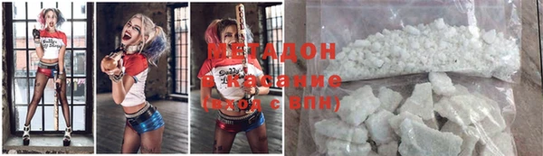 индика Бронницы
