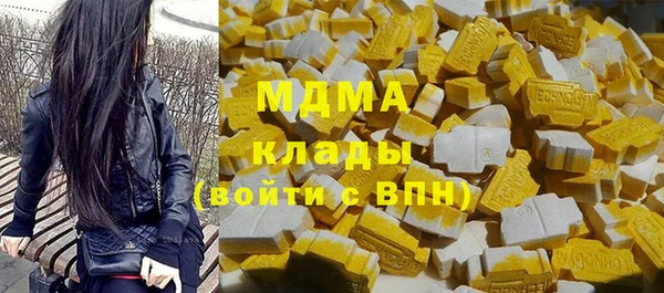 индика Бронницы