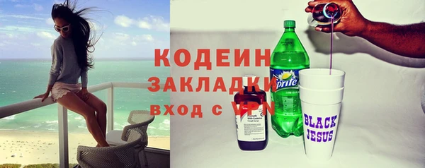 прущие грибы Бугульма
