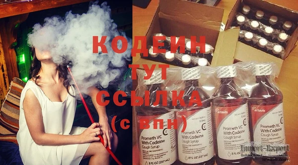 индика Бронницы