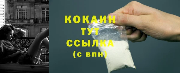 стаф Богданович