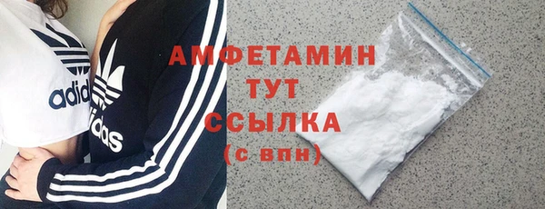 индика Бронницы