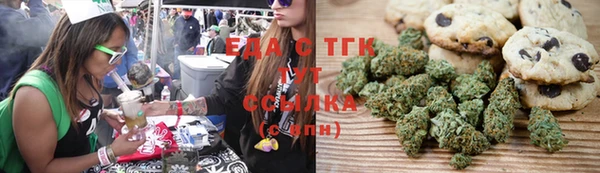индика Бронницы