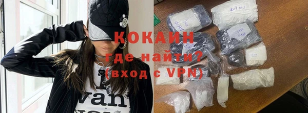 индика Бронницы