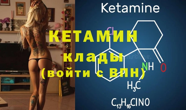 индика Бронницы
