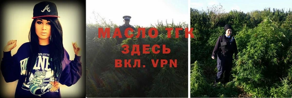 молекула духа Верхний Тагил
